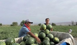 五一吃瓜网最新官网入口,揭秘五一热门话题，尽享娱乐盛宴！