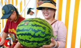 娱乐吃瓜区,揭秘明星幕后故事与精彩瞬间