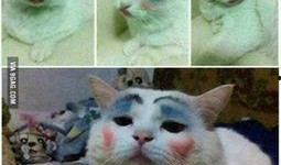 喵星娱乐吃瓜群众是谁,揭秘“吃瓜群众”背后的神秘力量