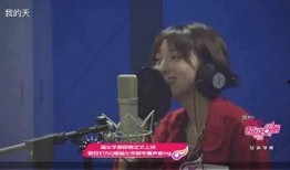 娱乐吃瓜酱女声配音,揭秘娱乐圈幕后故事的女声配音传奇