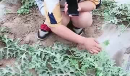 吃瓜娱乐范老师,揭秘娱乐圈幕后故事