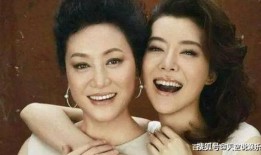 王丽云电视剧,传奇人生，荧屏绽放