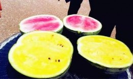 最新吃瓜爆料河北