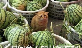 爆料吃瓜产品图片,吃瓜产品图片背后的秘密大曝光！