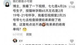 七七和铲屎官娱乐吃瓜君,吃瓜君带你揭秘娱乐圈幕后故事