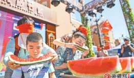 娱乐吃瓜区,揭秘明星幕后故事与精彩瞬间