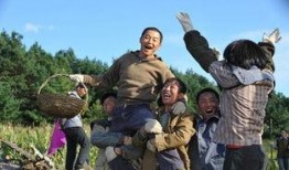 北大荒知青题材电视剧,青春记忆与时代变迁