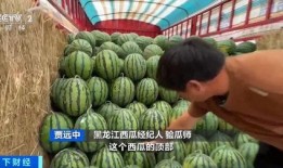 五一吃瓜网最新官网入口,揭秘五一热门话题，尽享娱乐盛宴！