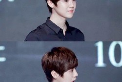 吃瓜娱乐圈鹿晗图片高清,娱乐圈瓜田里的清新风景